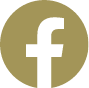 Facebook - So gong don